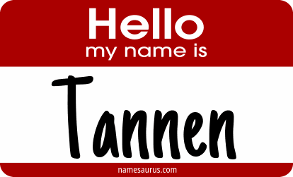 Hello my name is Tannen png download