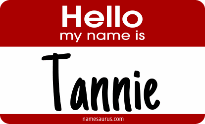 Hello my name is Tannie png download