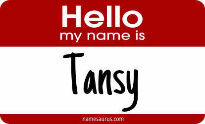 Hello my name is Tansy png download