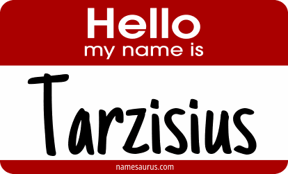 Hello my name is Tarzisius png download