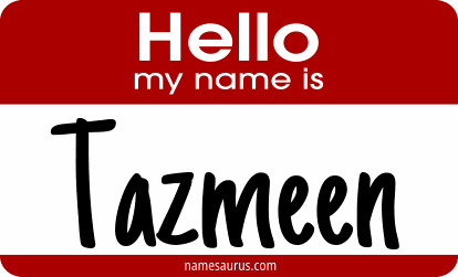 Hello my name is Tazmeen png download