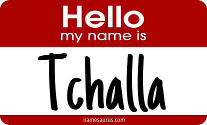 Hello my name is Tchalla png download