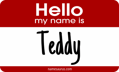 Hello my name is Teddy png download
