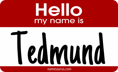 Hello my name is Tedmund png download
