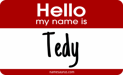Hello my name is Tedy png download