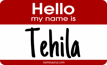 Hello my name is Tehila png download