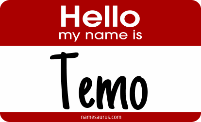 Hello my name is Temo png download