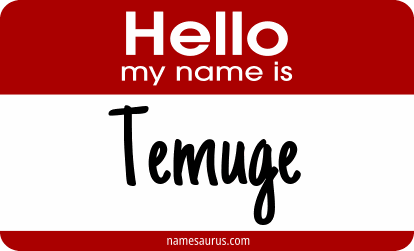 Hello my name is Temuge png download