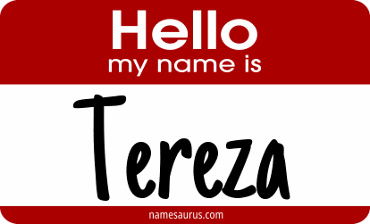 Hello my name is Tereza png download
