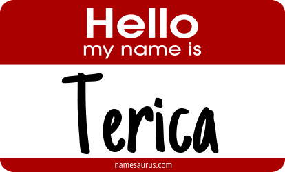 Hello my name is Terica png download
