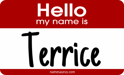 Hello my name is Terrice png download
