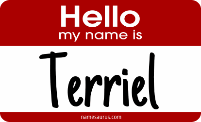 Hello my name is Terriel png download