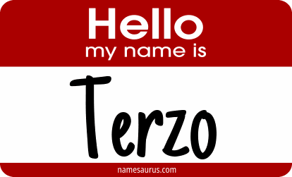 Hello my name is Terzo png download