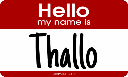 Hello my name is Thallo png download