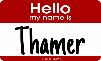 Hello my name is Thamer png download
