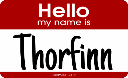 Hello my name is Thorfinn png download