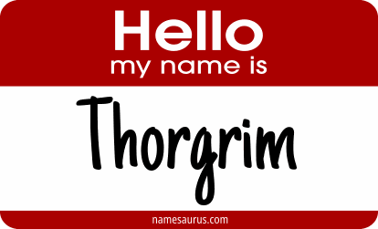 Hello my name is Thorgrim png download