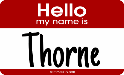 Hello my name is Thorne png download