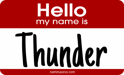 Hello my name is Thunder png download
