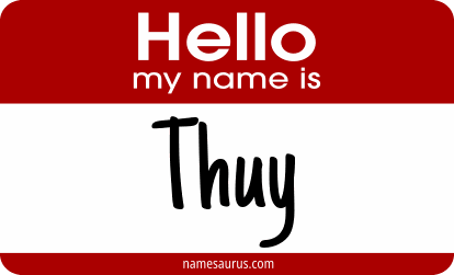 Hello my name is Thuy png download