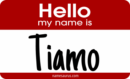 Hello my name is Tiamo png download