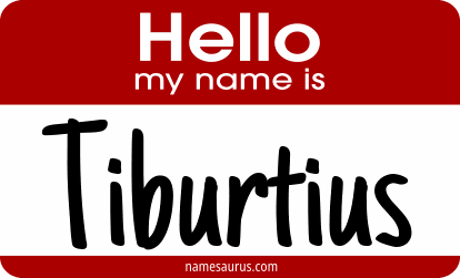 Hello my name is Tiburtius png download