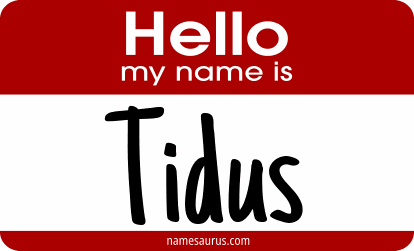 Hello my name is Tidus png download