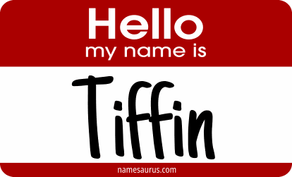 Hello my name is Tiffin png download