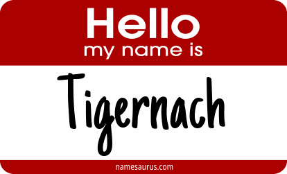Hello my name is Tigernach png download