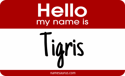 Hello my name is Tigris png download
