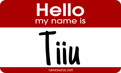 Hello my name is Tiiu png download