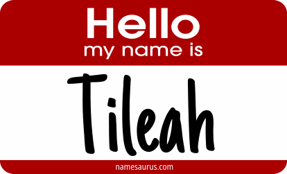 Hello my name is Tileah png download