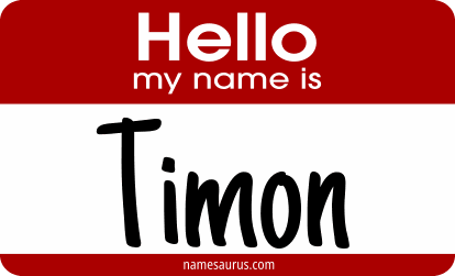Hello my name is Timon png download