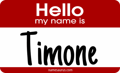 Hello my name is Timone png download