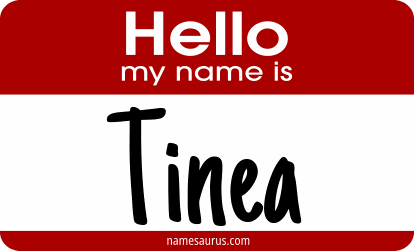 Hello my name is Tinea png download
