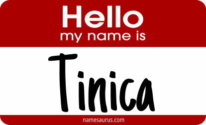 Hello my name is Tinica png download