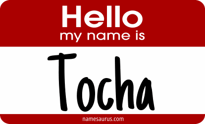 Hello my name is Tocha png download