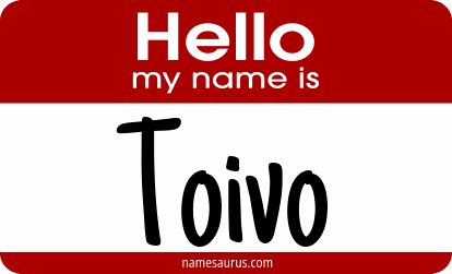 Hello my name is Toivo png download