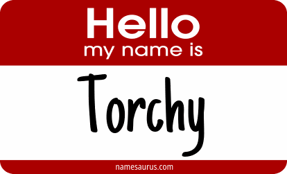 Hello my name is Torchy png download