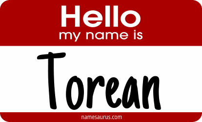 Hello my name is Torean png download