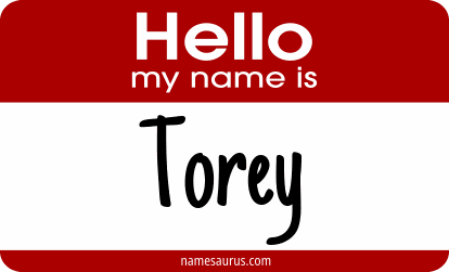 Hello my name is Torey png download
