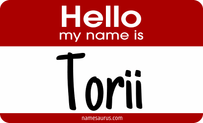 Hello my name is Torii png download
