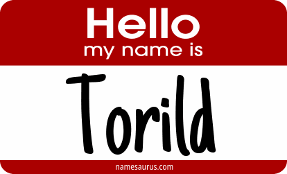 Hello my name is Torild png download