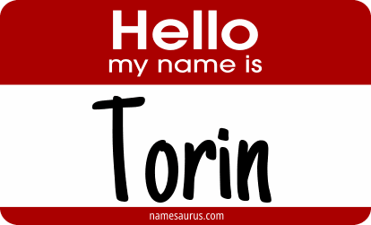 Hello my name is Torin png download