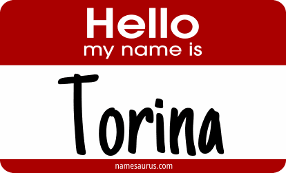 Hello my name is Torina png download