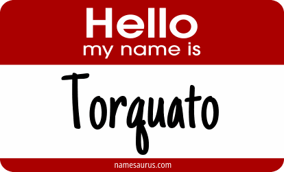Hello my name is Torquato png download