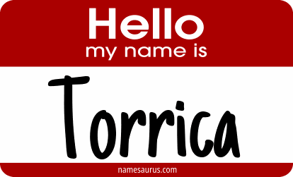 Hello my name is Torrica png download