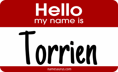 Hello my name is Torrien png download