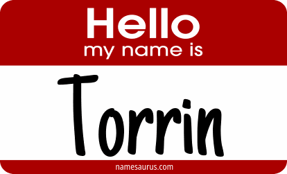 Hello my name is Torrin png download