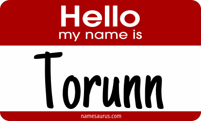 Hello my name is Torunn png download